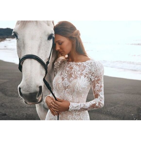 Pronovias Panjin Wedding Gown Size 14 Lace Long Sleeve - Picture 3 of 15